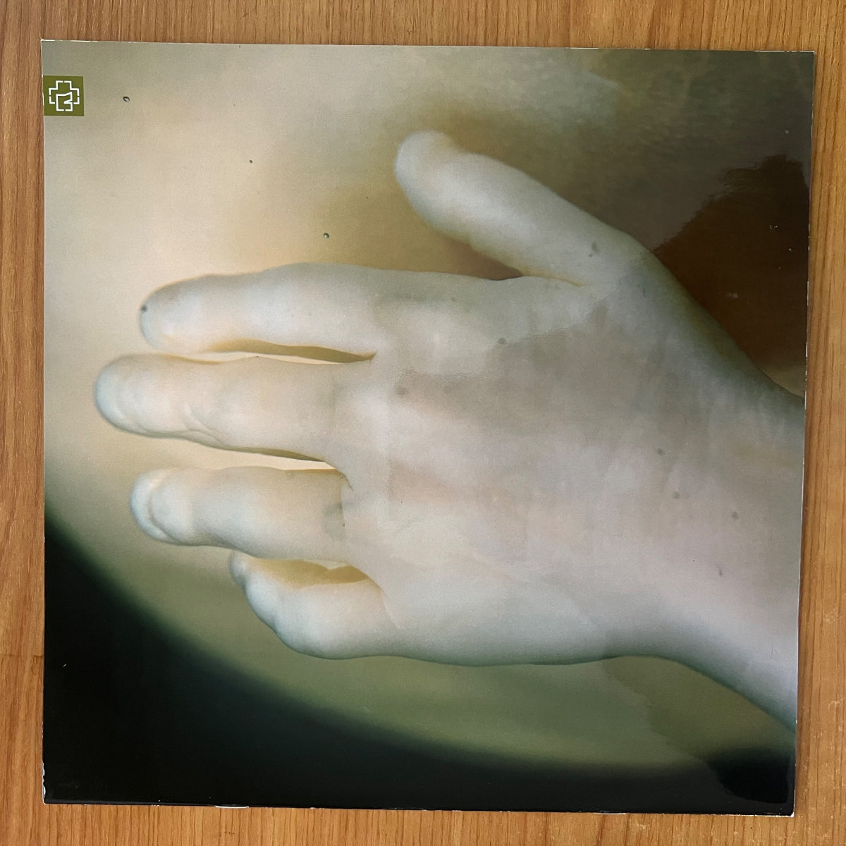 Rammstein - Mutter / 1. EU-Press. 2001 - (M-/M-)