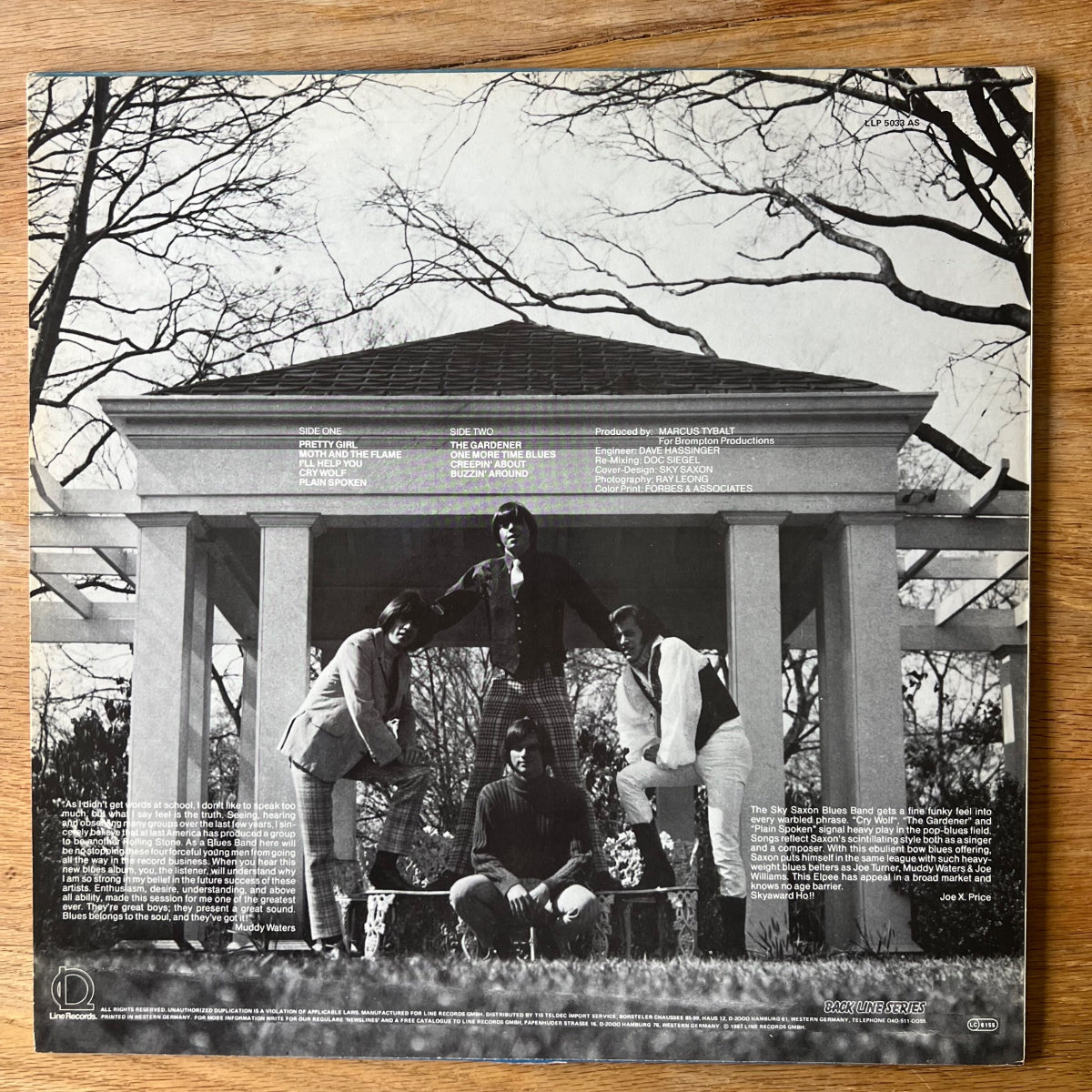 Seeds - A Full Spoon Of Seedy Blues / D-Press. RE von 1967 - (M-/M-)