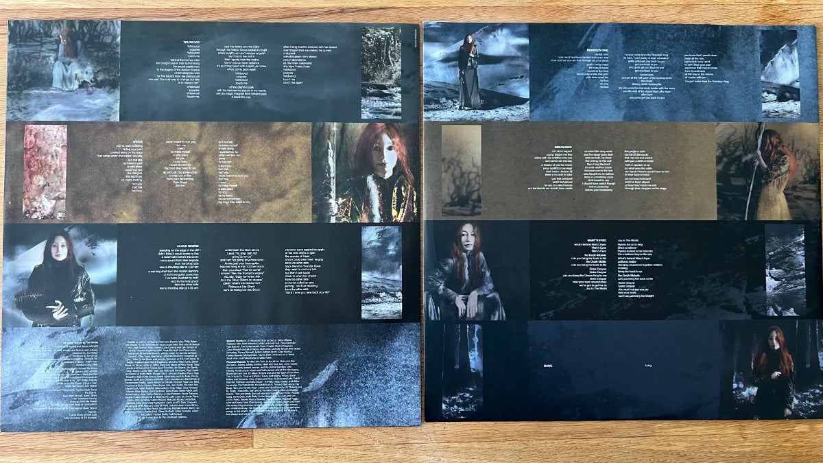 Tori Amos - Native Invader // 2 LP - 1. UK-Press. 2017 - (Mint/Mint)