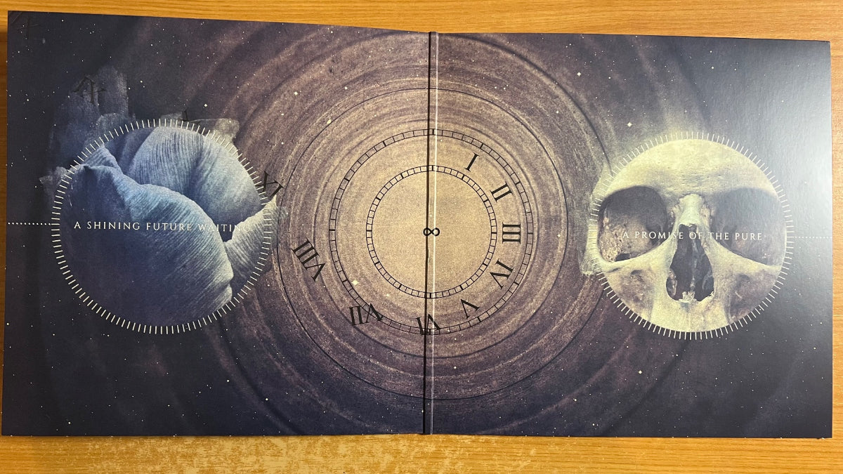 In The Woods - Pure / 2 LP - 1. France-Press. 2016 - (Mint)