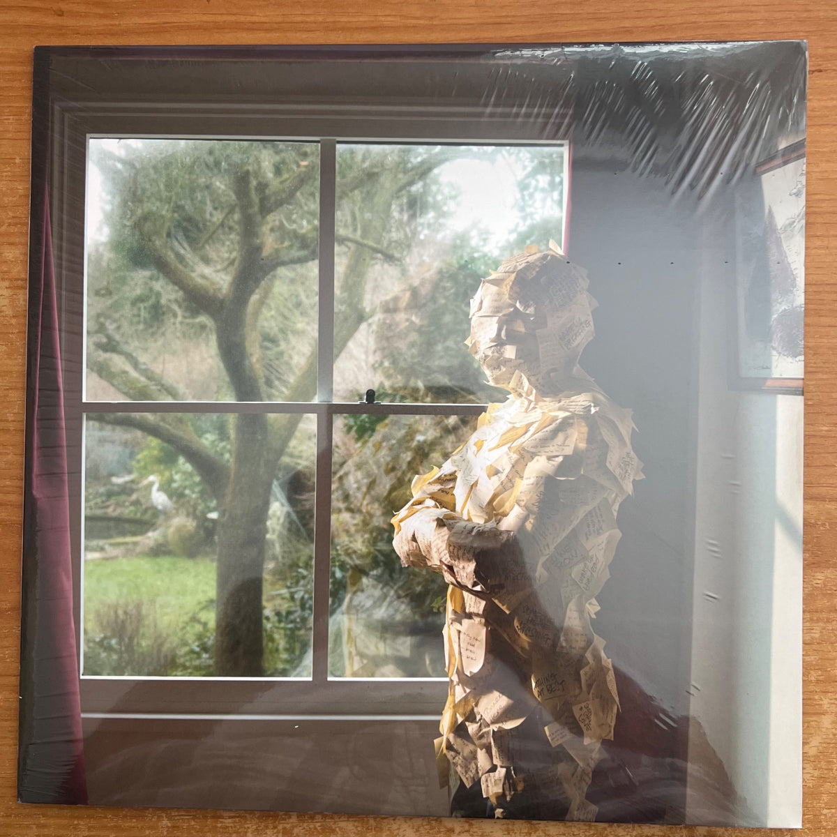 Pineapple Thief - Someone Here Is Missing / 1. UK-Press. 2010 - (Mint & Sealed)