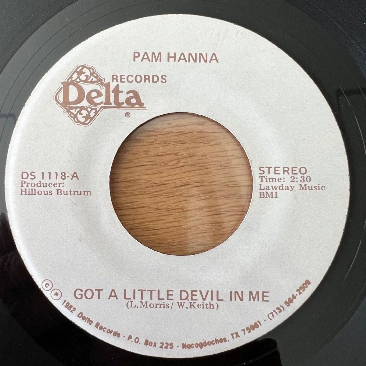Pam Hanna - Got A Little Devil In Me / 1. US-Press. 1982 - (M-/Neutral)