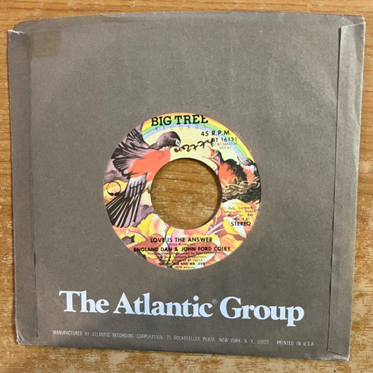 England Dan & John Ford Coley - Love Is The Answer / 1. US-Press. 1979 - (M-/VG++)