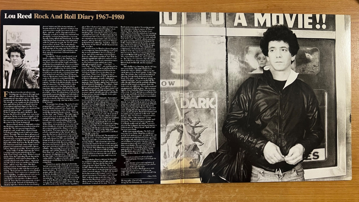 Lou Reed - Rock And Roll Diary 1967-80 / 2 LP - 1. D-Press. 1980 - (M-/VG++)