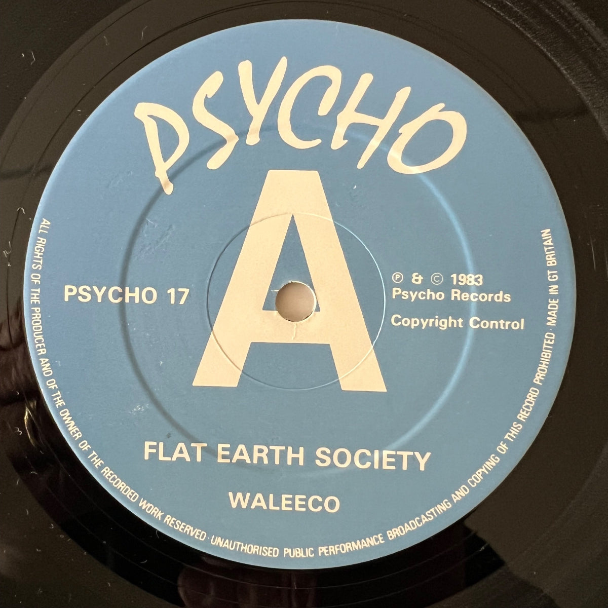 Flat Earth Society - Waleeco / UK-Press. 1983 - (M-/M-)