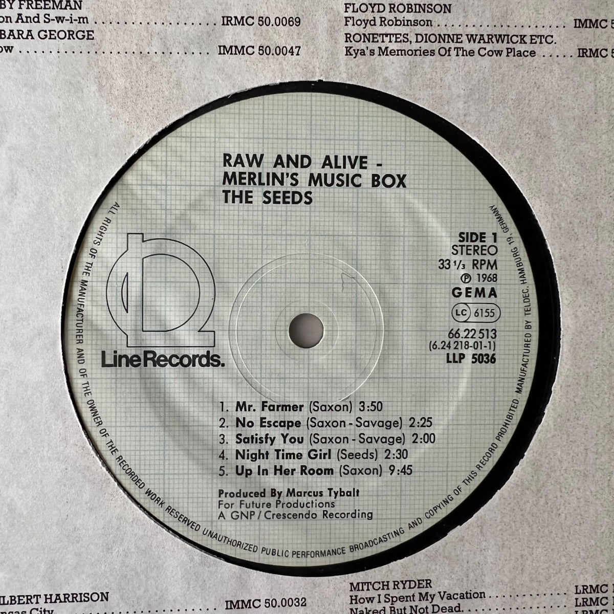 Seeds - Raw & Alive / D-Press. 1981 - (M-/VG++)