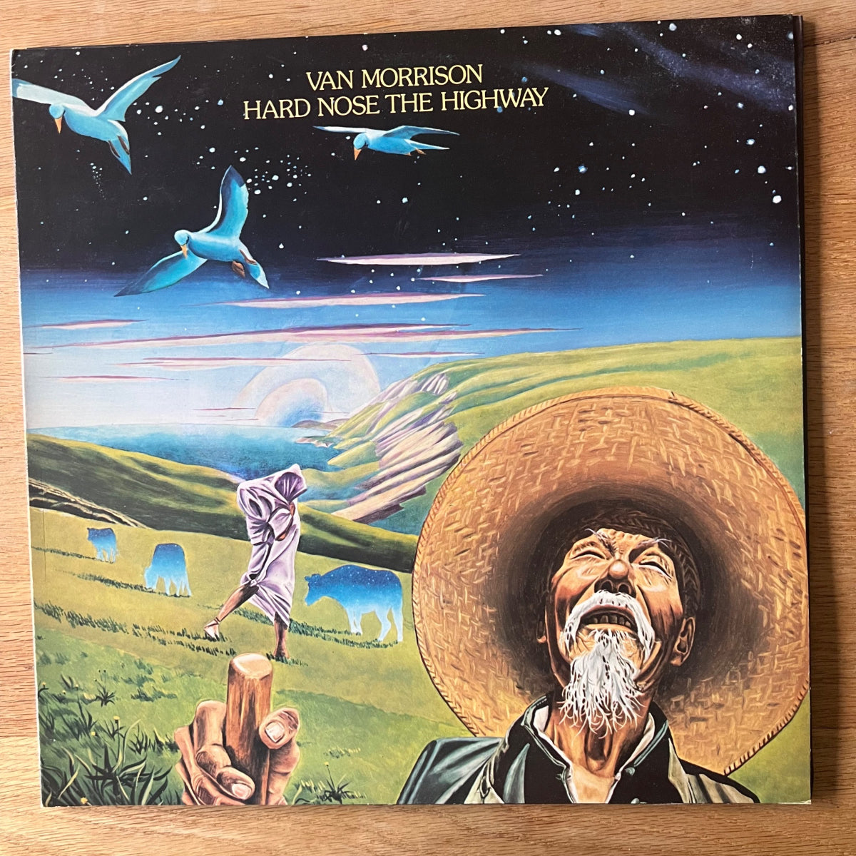 Van Morrison - Hard Nose The Highway / UK-Press. 1973 - (M-/M-)