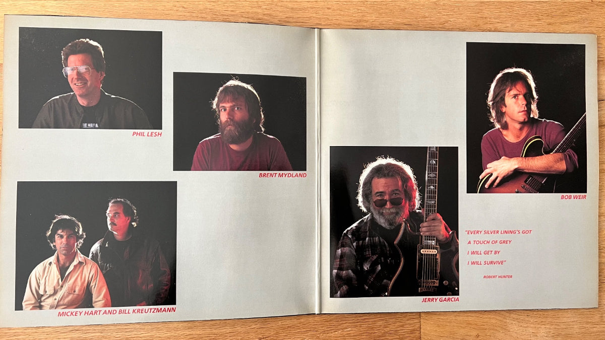 Grateful Dead - In The Dark / 1. D-Press. 1987 - (M-/M-)