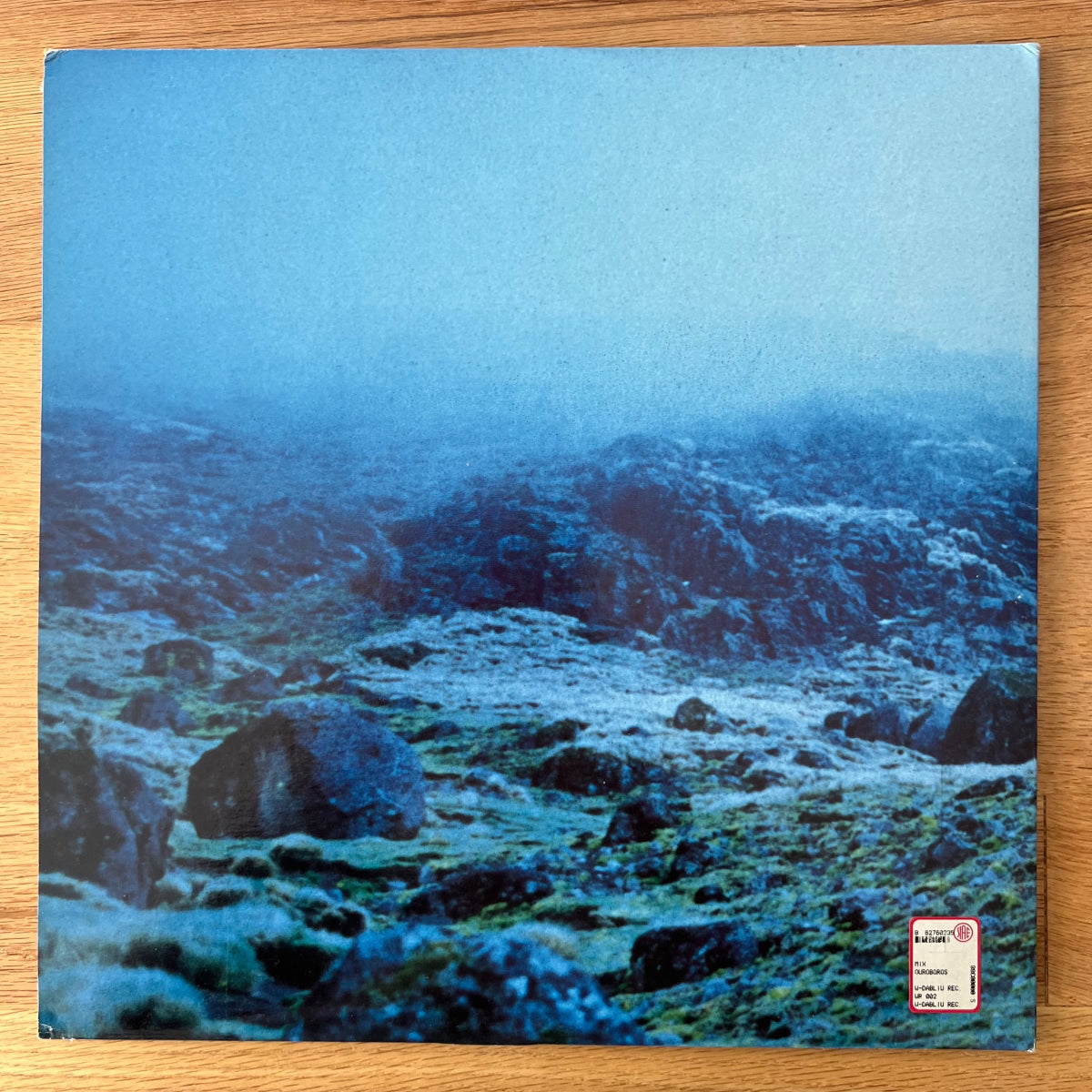 Frolic Froth - Ouroboros / 1. Italy-Press. 1996 - (M-/M-)
