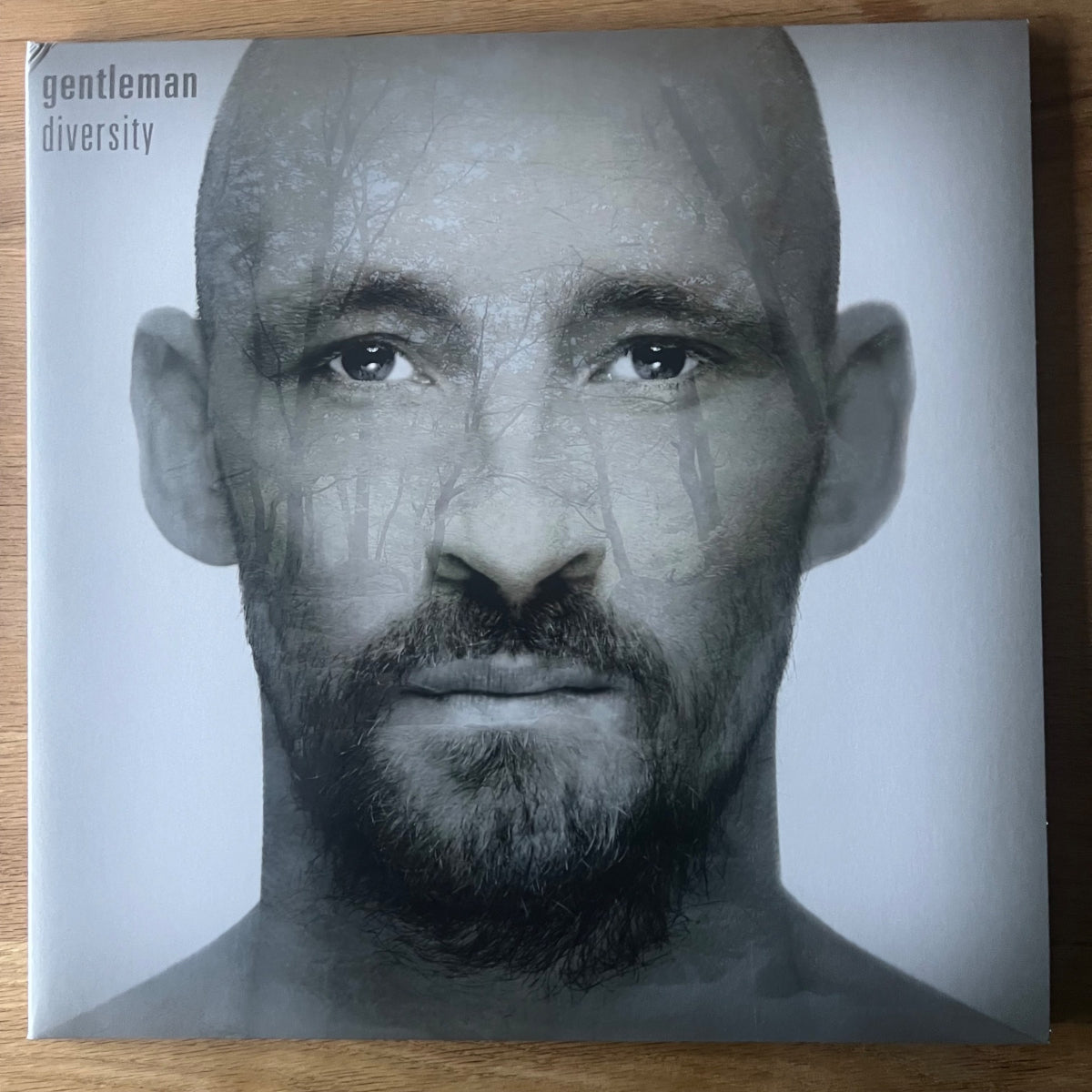 Gentleman - Diversity / 2 LP - 1. EU-Press. 2010 - (M-/M-)