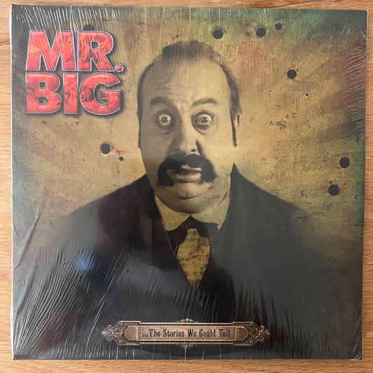 Mr. Big - The Stories We Could Tell / 2 LP - 1. EU 2015 - (Mint & Sealed)
