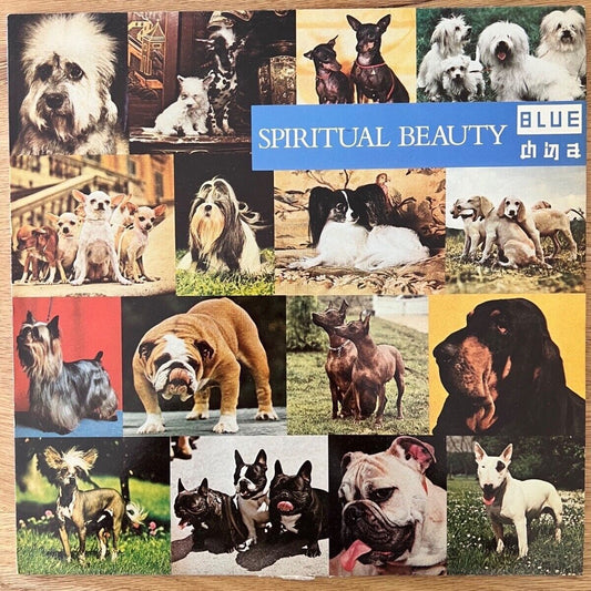Blue China - Spiritual Beauty / 1. Swiss-Press. 1983 - (M-/M-)