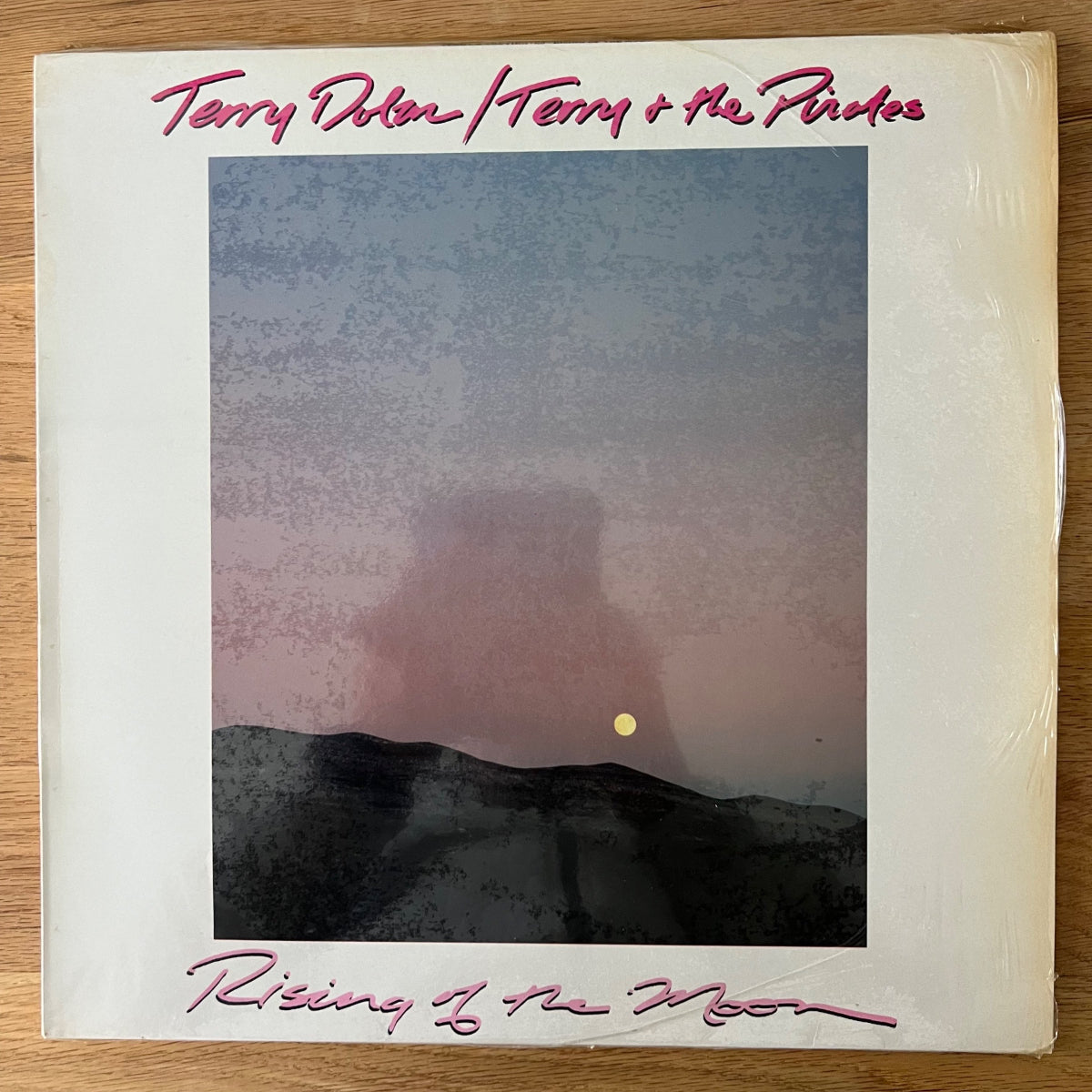 Terry Dolan, Terry & The Pirates - Rising Of The Noon / D-Press. 1984 - (M-/VG+)