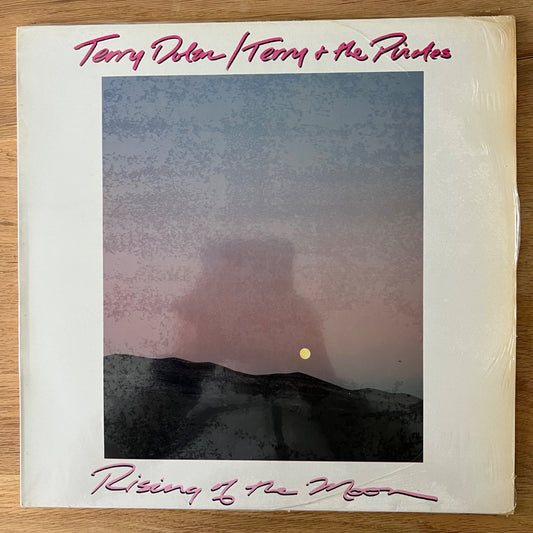 Terry Dolan, Terry & The Pirates - Rising Of The Noon / D-Press. 1984 - (M-/VG+)