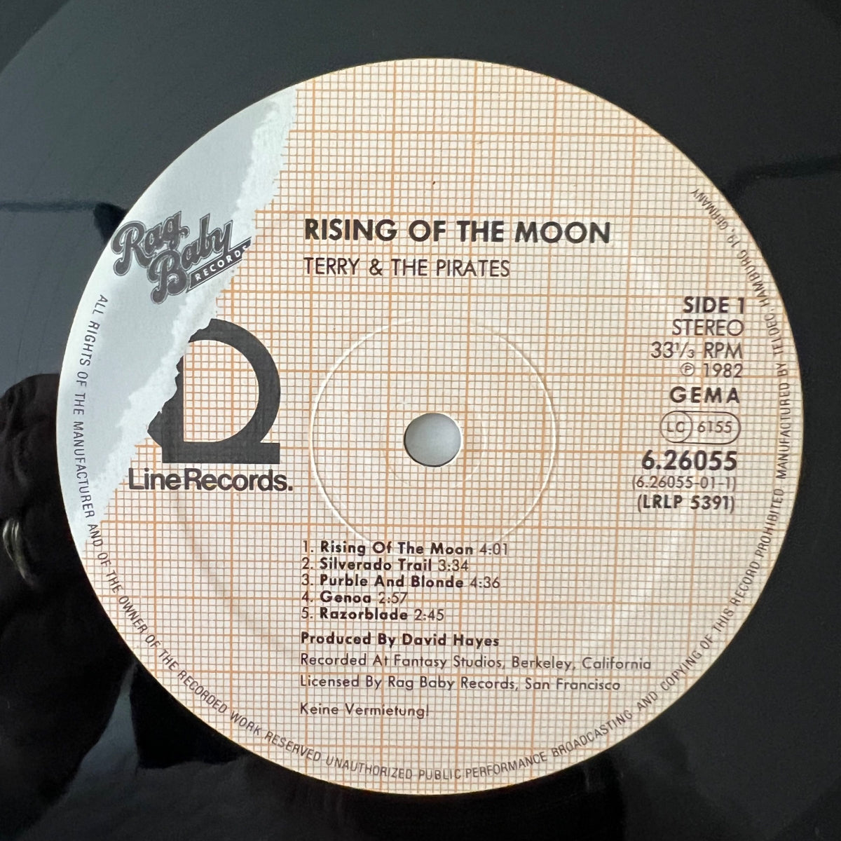 Terry Dolan, Terry & The Pirates - Rising Of The Noon / D-Press. 1984 - (M-/VG+)
