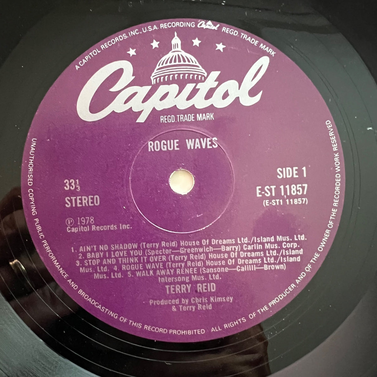 Terry Reid - Rogue Waves / 1. UK-Press. 1979 - (M-/(VG++)