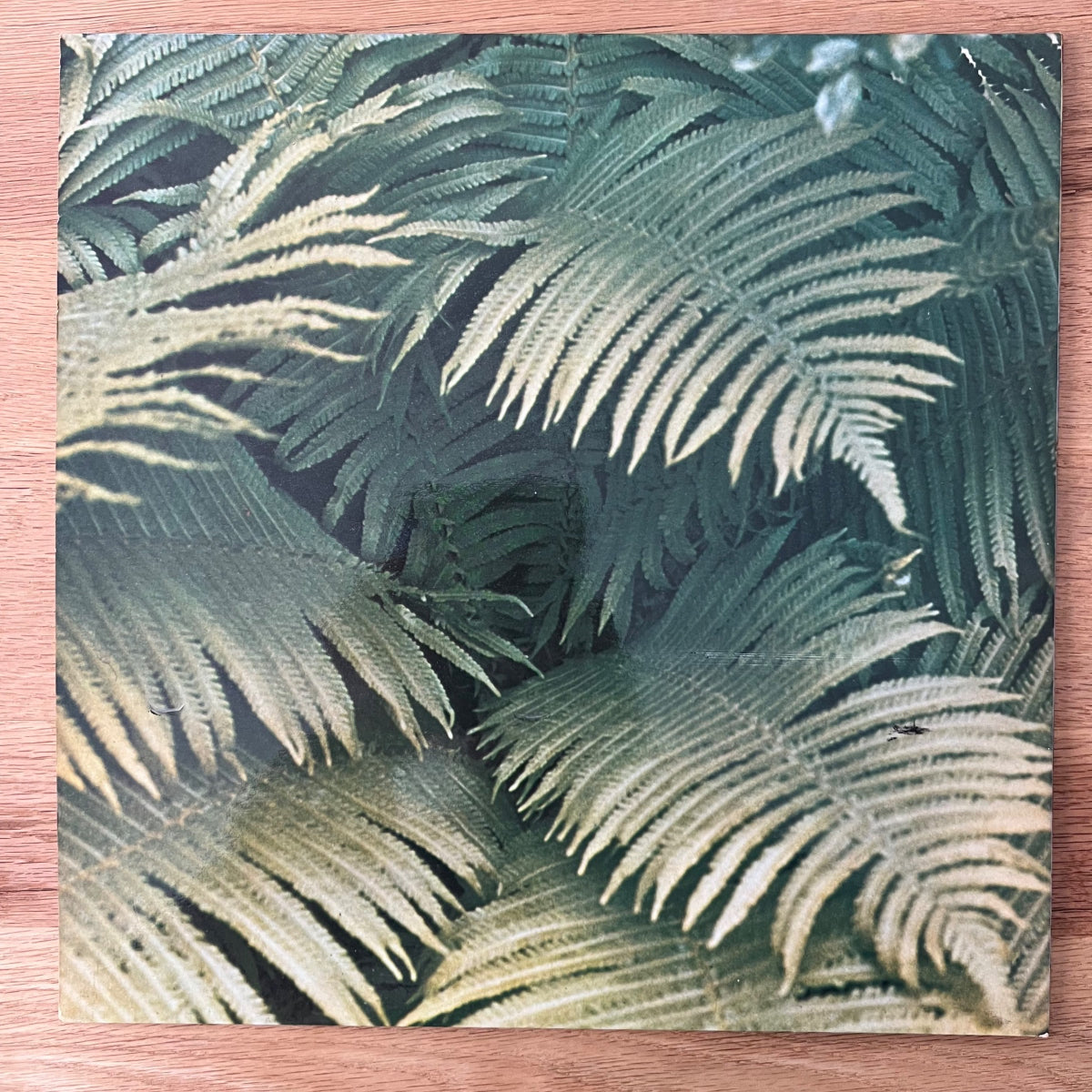 Edgar Froese - Epsilon In Malaysian Pale / 1. UK-Press. 1975 - (M-/M-)