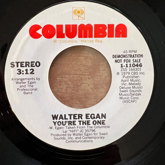 Walter Egan - You're The One / US-Promo 1979 - (M-/Neutral)