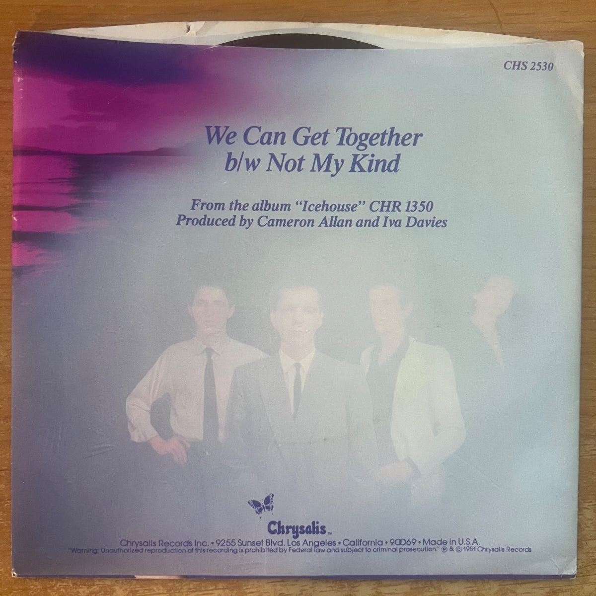 Icehouse - We Can Get Together / 1. US-Press. 1981 - (M-/M-)