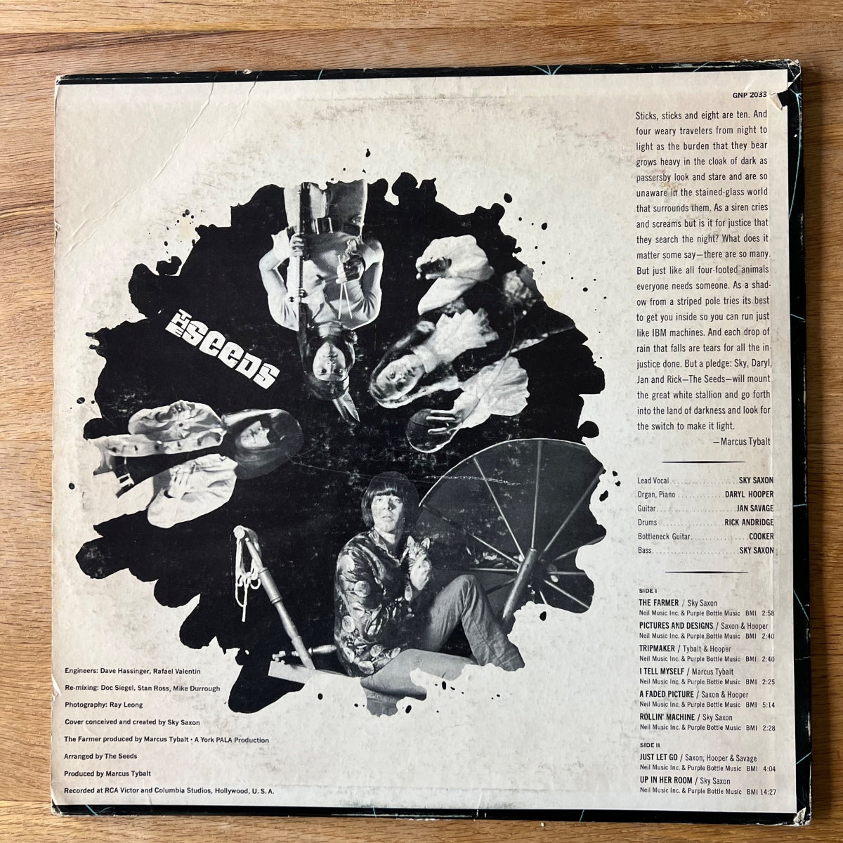 Seeds - A Web Of Sound / 1. US-Press. 1966 - (VG++/VG+)