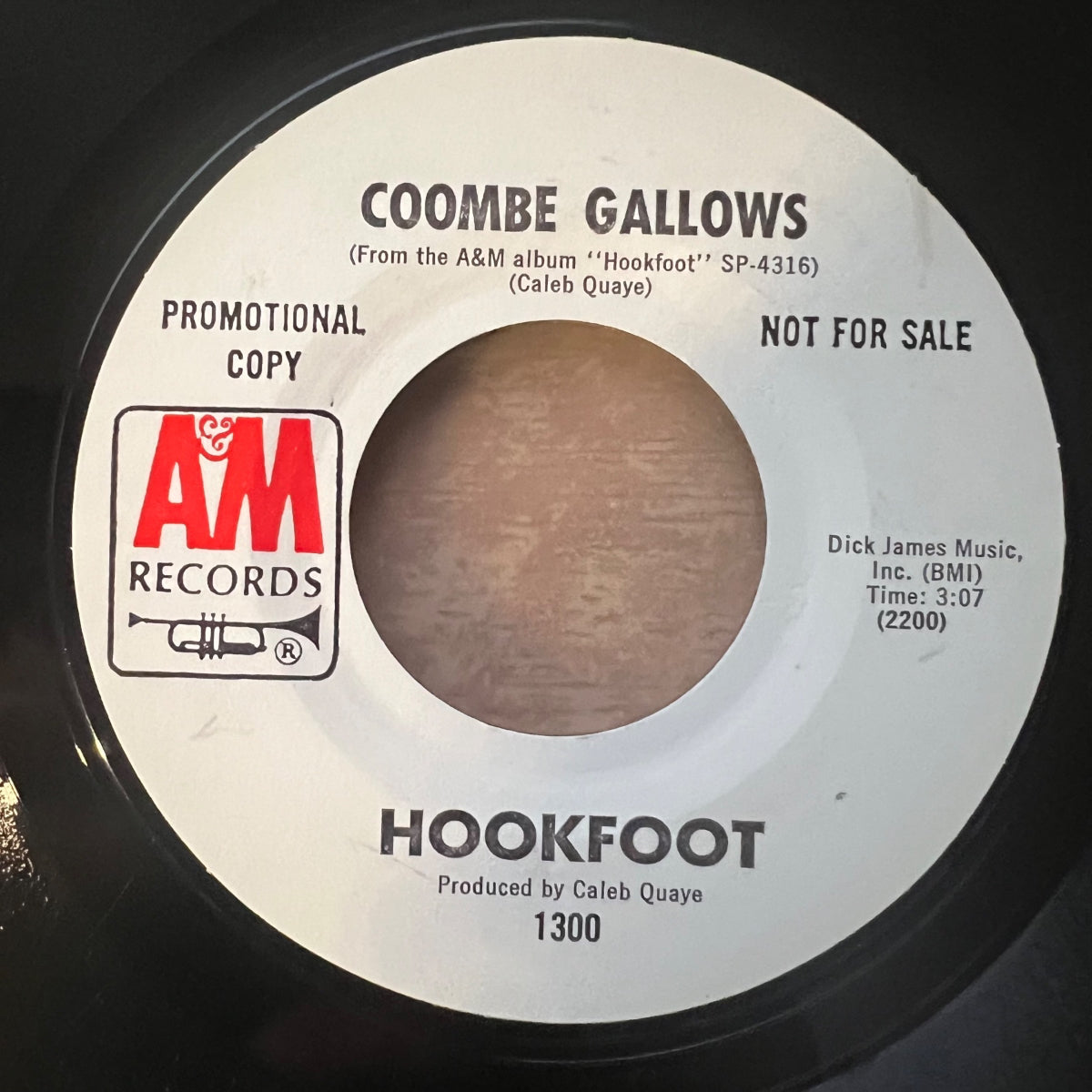 Hookfoot - Don't Let It Bring You Down / US-Promo 1971 - (M-/Neutral)