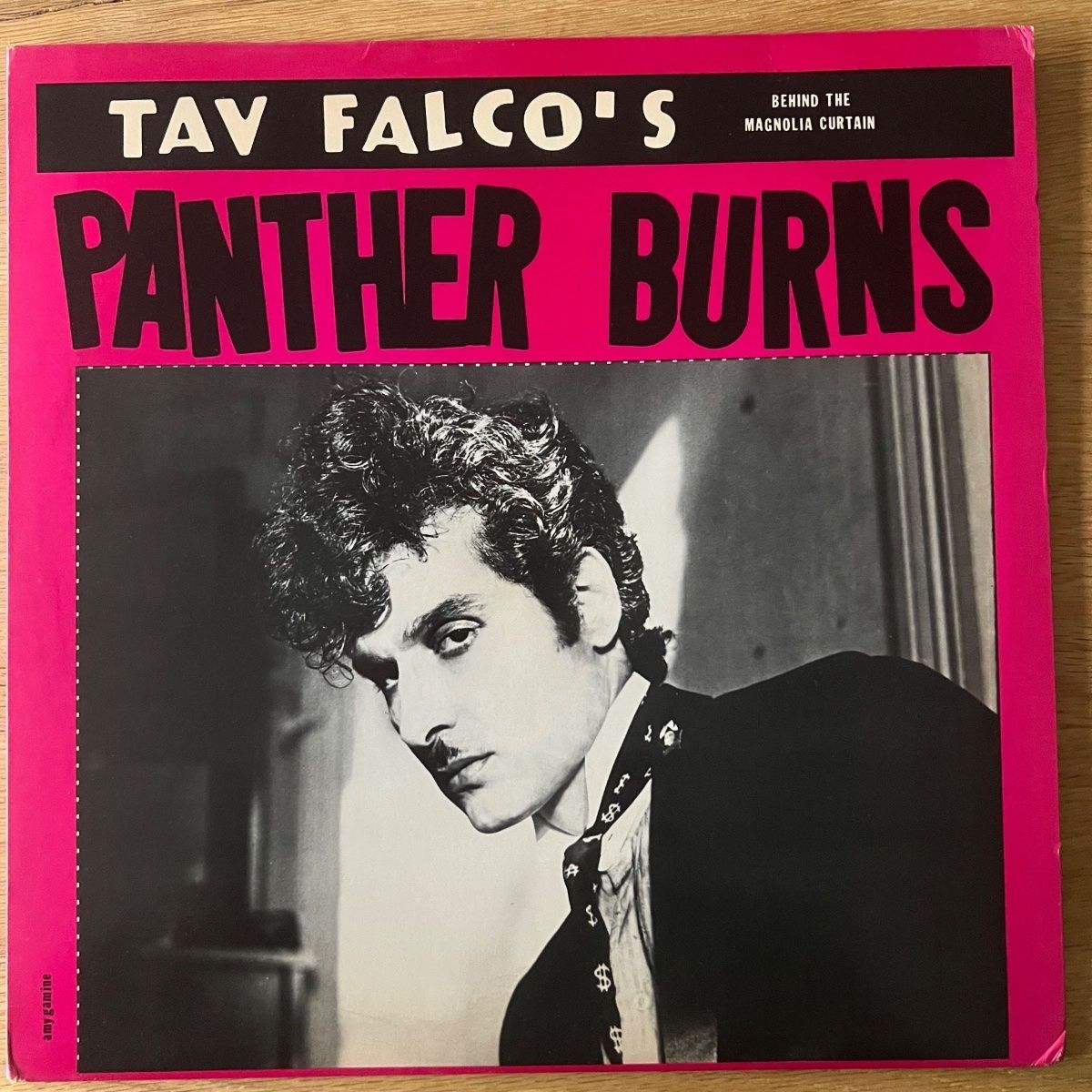 Tav Falco's Panther Burns - Behind The Magnolia Curtain / 1. US-Press. 1981 - (M-/VG++)