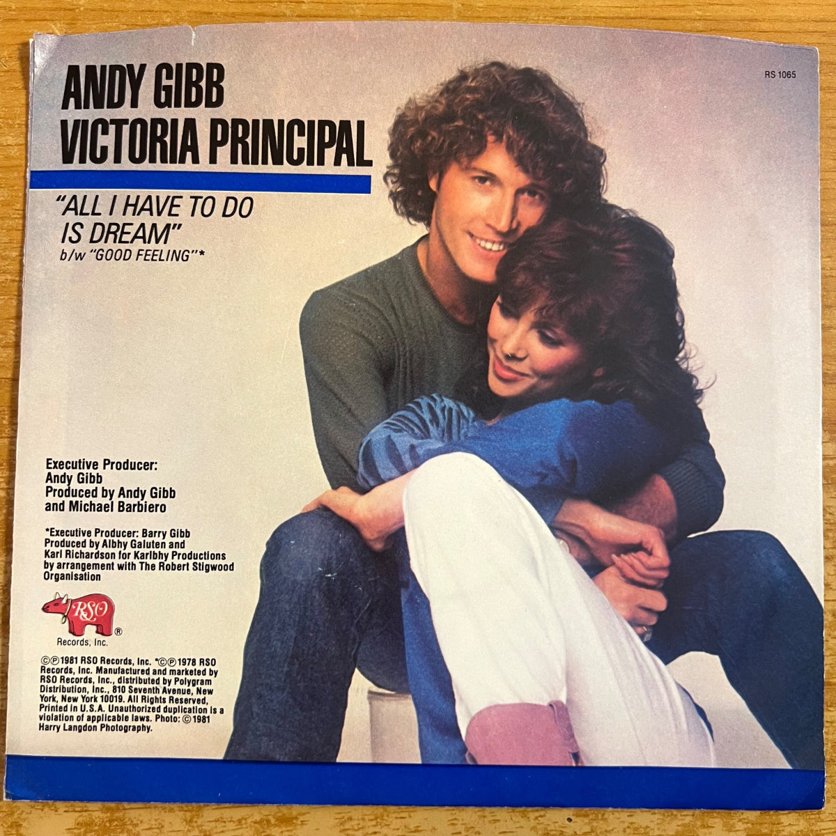 Andy Gibb & Victoria Principal - All I Have To Do Is Dream / 1. US-Press. 1981 - (M-/M-)