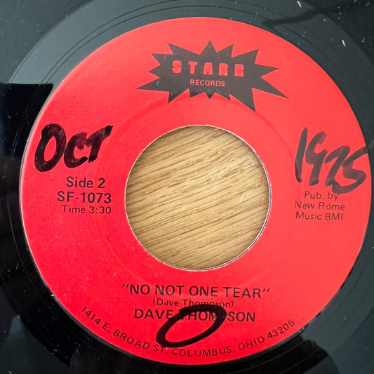 Dave Thompson - If I Can't Marry Mary / 1. US-Press. 1976 - (M-/Neutral)