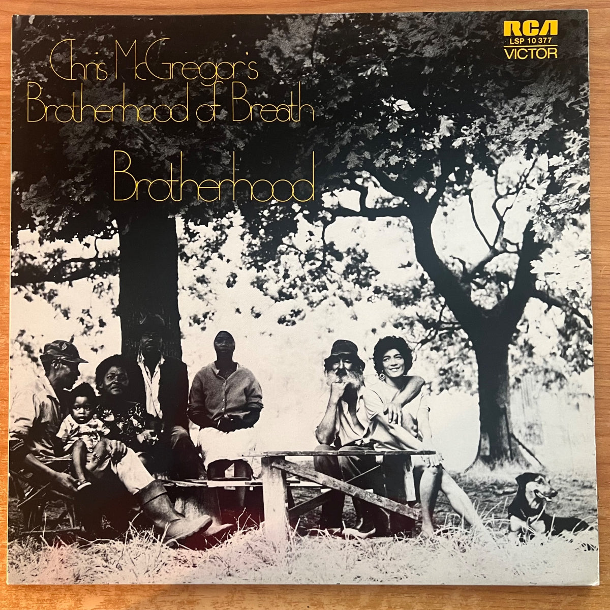 Chris McGregor's Brotherhood Of Breath - Brotherhood / 1. D-Press. 1972 - (M-/M-)