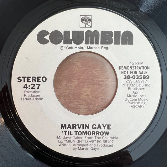 Marvin Gaye - 'Til Tomorrow / US-Promo 1982 - (M-/Neutral)