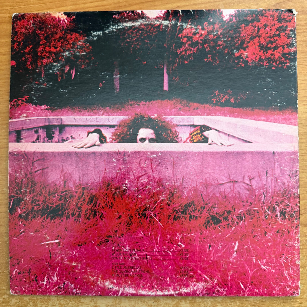 Frank Zappa - Hot Rats / 1. US-Press. 1969 - (VG/VG)