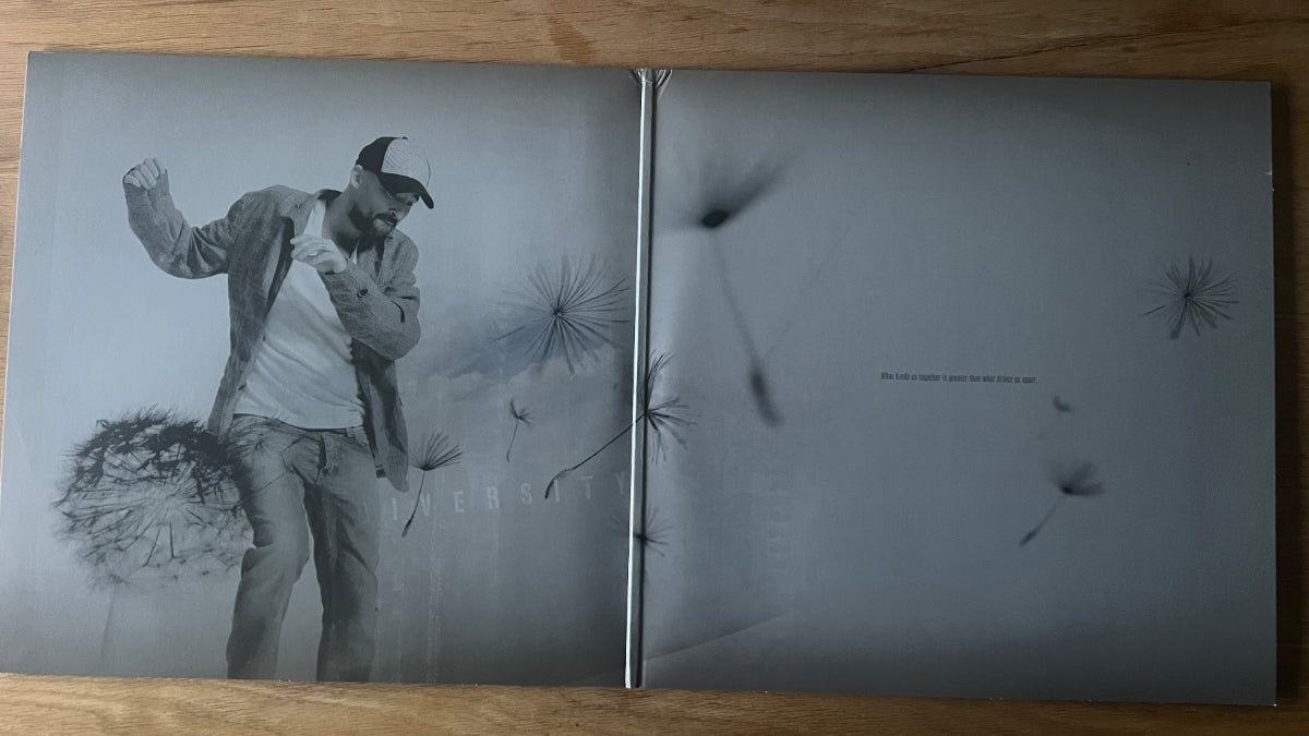 Gentleman - Diversity / 2 LP - 1. EU-Press. 2010 - (M-/M-)
