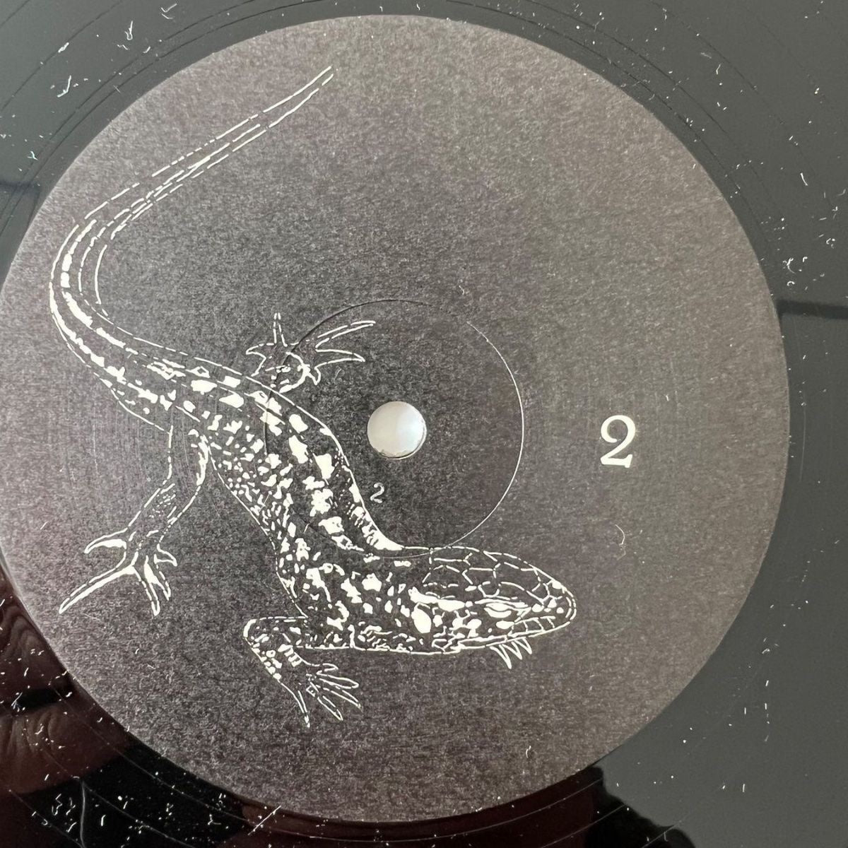 Lizard - In Concert / 1. Swiss-Press. 197? - Incl. 2 Posters - (M-/VG++)
