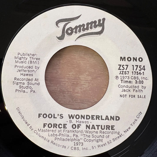 Force Of Nature - Fool's Wonderland / US-Promo 1973 - (VG+/Neutral)