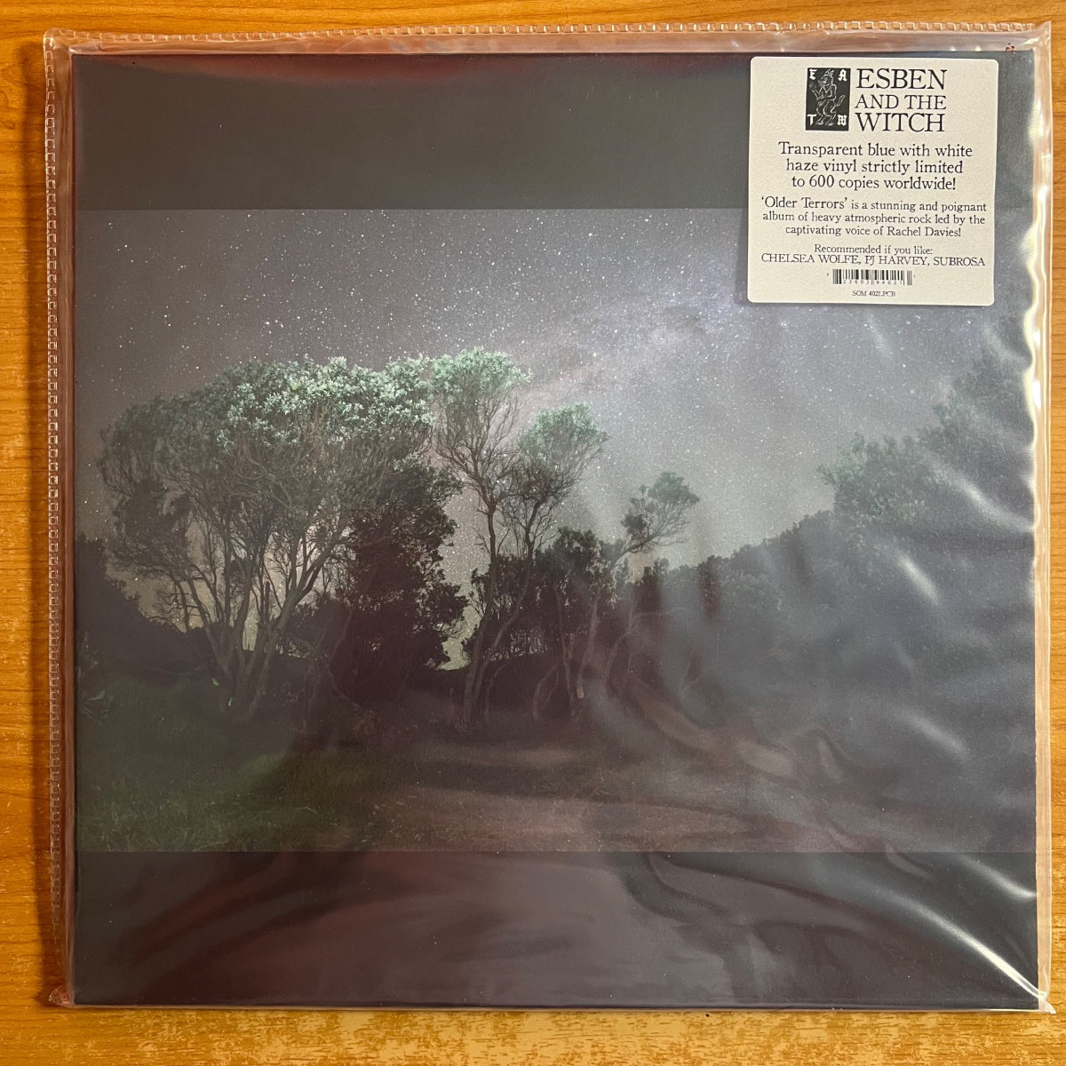 Esben & The Witch - Older Terrors / 1. France-Press. 2016 - (Mint)