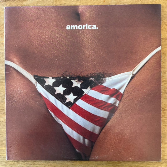 Black Crowes - America // 1. US-Press. 1994 - White Vinyl - (M-/VG++)