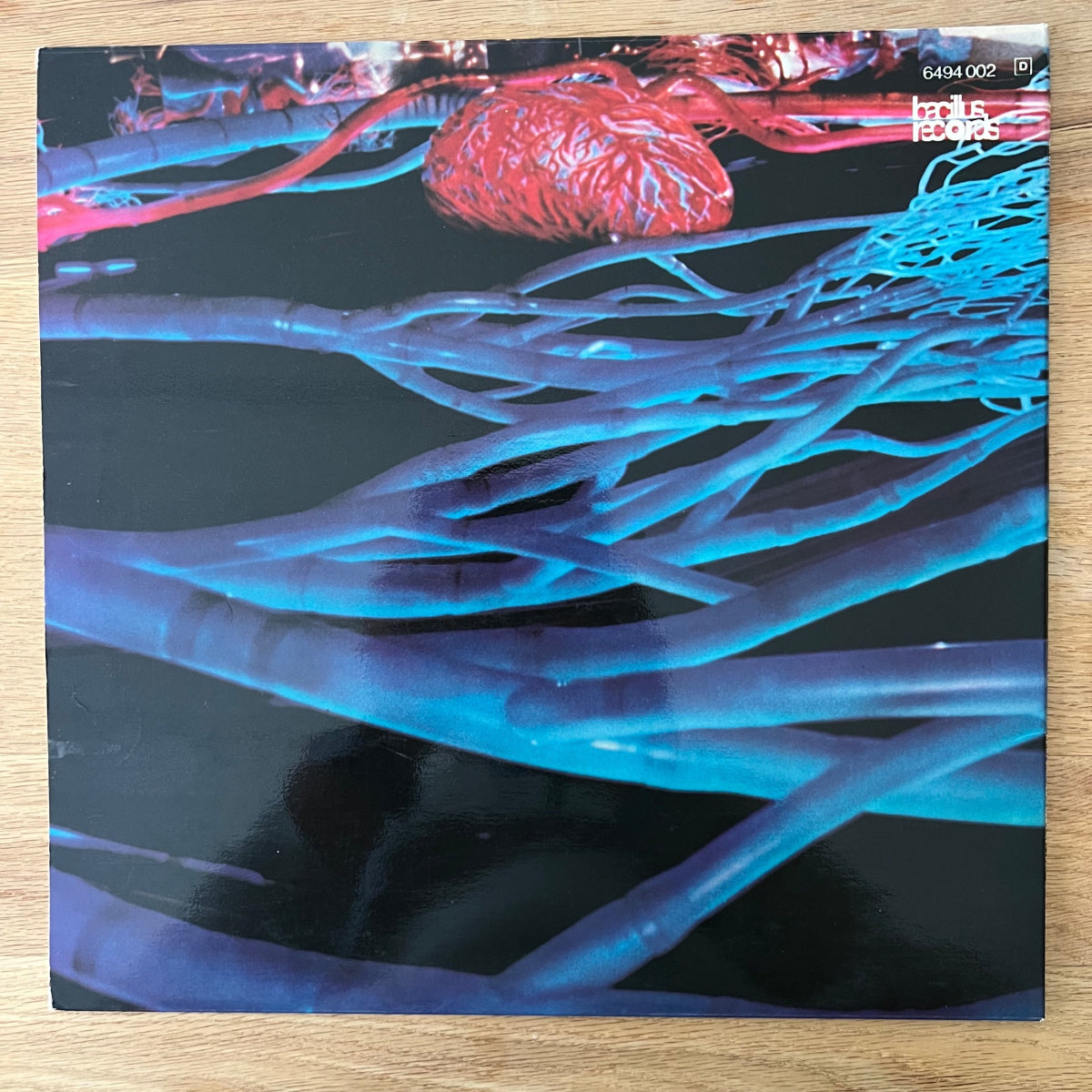 Hairy Chapter - Can't Get Through / 1. D-Press. 1971 - (M-/M-)