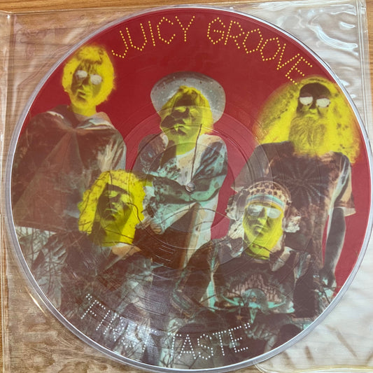 Juicy Groove - First Taste / 1. US-Press. 1978 - (VG/Plastic Cover)