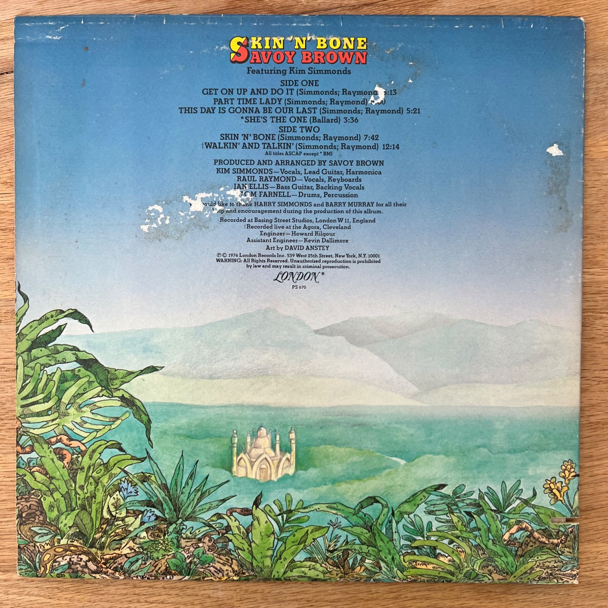 Savoy Brown - Skin 'N' Bone / 1. US-Press. 1976 - (VG++/VG+)