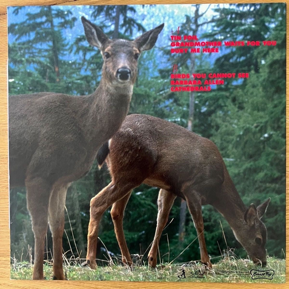 Handsome Family - Invisible Hands / LP Mini Album - 1st US Press. 1997 - (M-/M-)