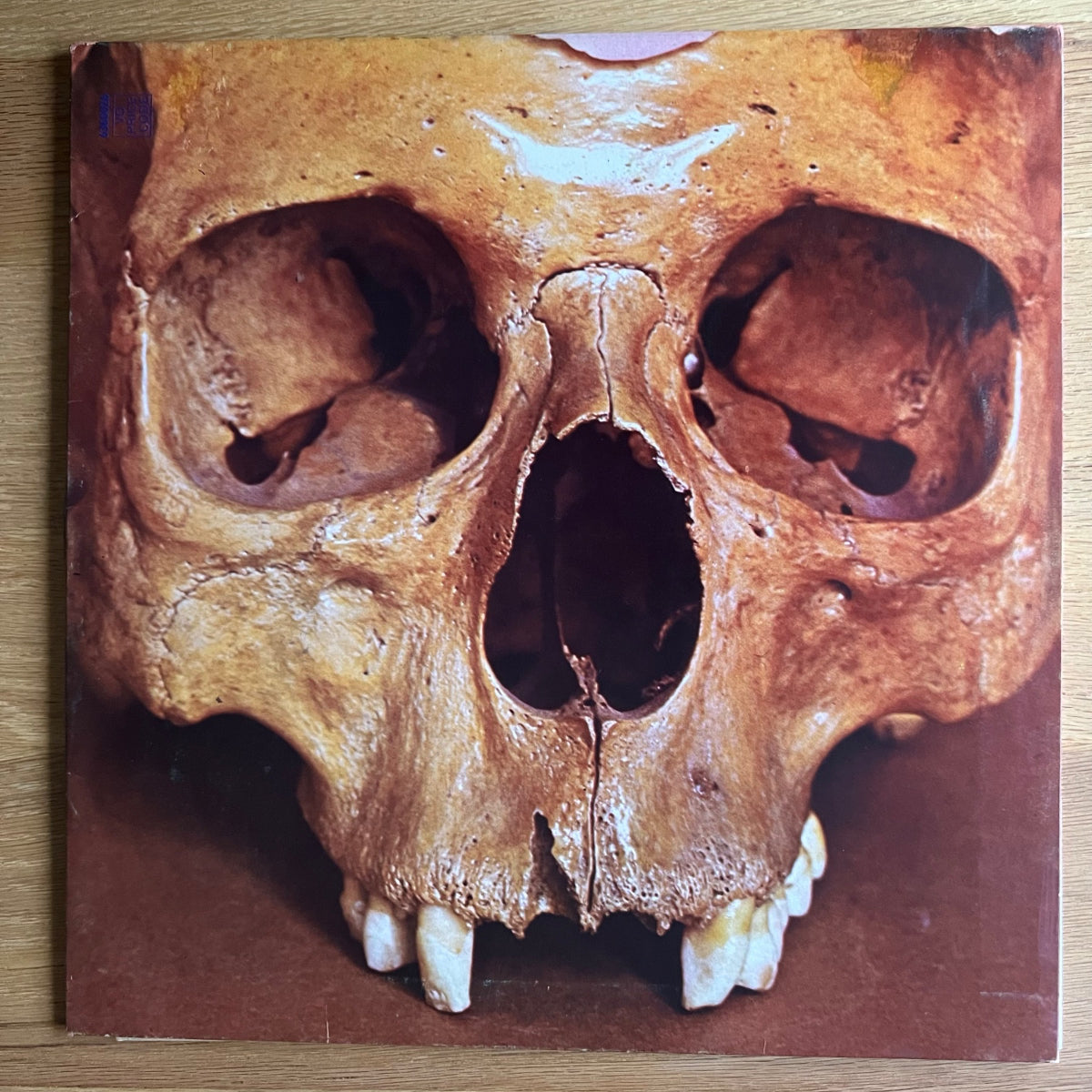 Still Life - Same / 1. UK-Press. 1971 - (M-/VG++)