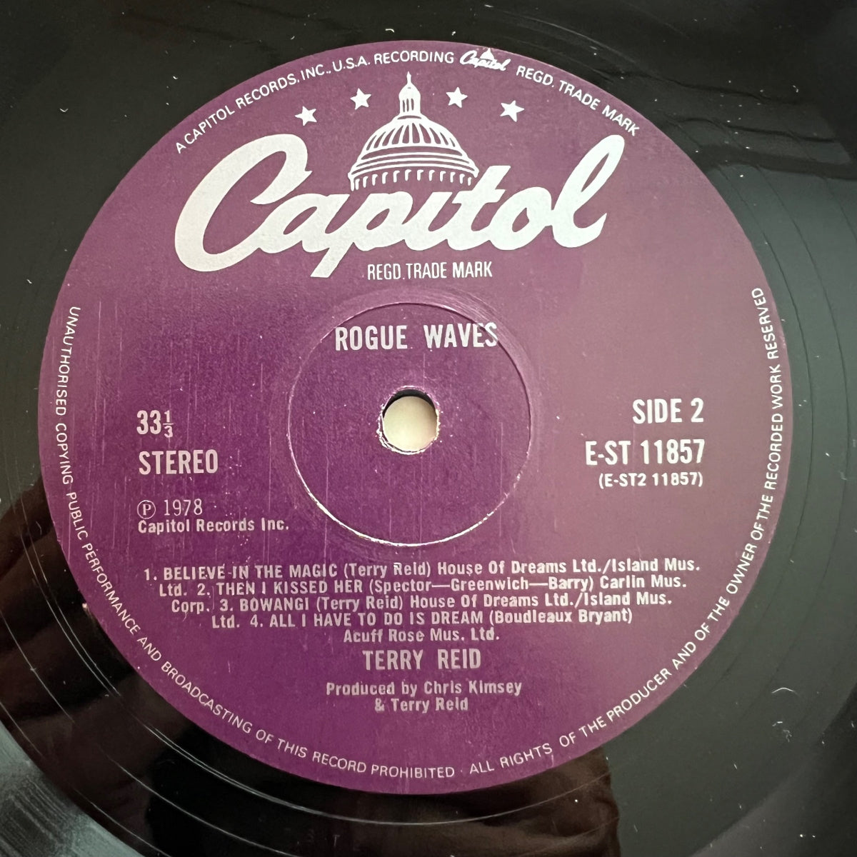 Terry Reid - Rogue Waves / 1. UK-Press. 1979 - (M-/(VG++)
