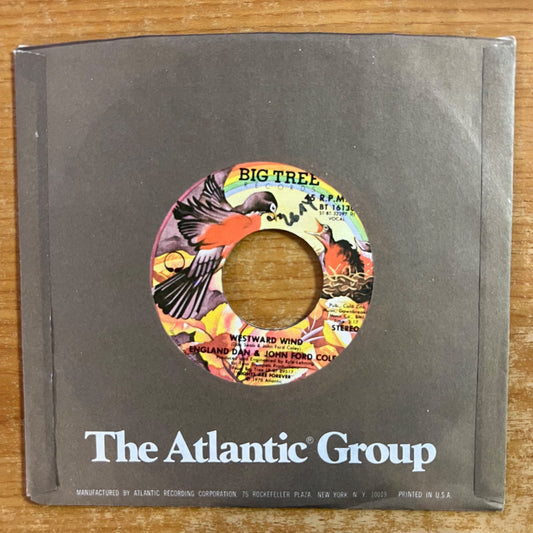 England Dan & John Ford Coley - Westward Wind / 1. US-Press. 1978 - (VG++/VG++)