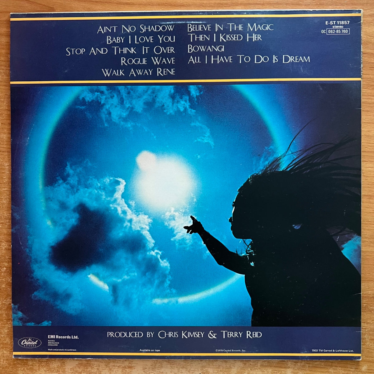 Terry Reid - Rogue Waves / 1. UK-Press. 1979 - (M-/(VG++)