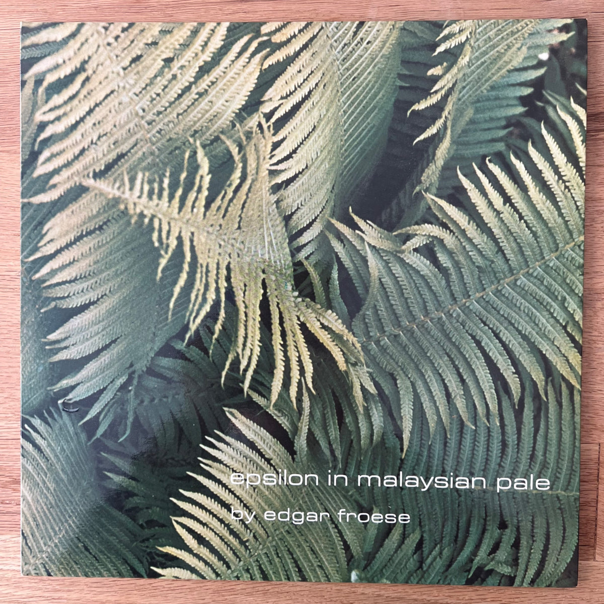 Edgar Froese - Epsilon In Malaysian Pale / 1. UK-Press. 1975 - (M-/M-)